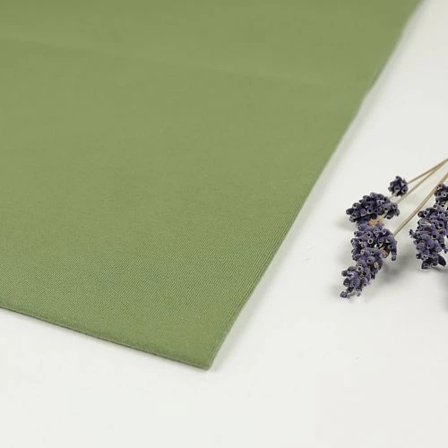 Bio Jersey Stoff Uni Olive Stoffonkel 1 Bio Jersey Stoff Uni Olive Stoffonkel