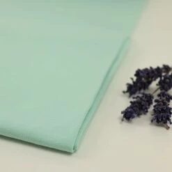 Bio Jersey Stoff Uni Hellmint